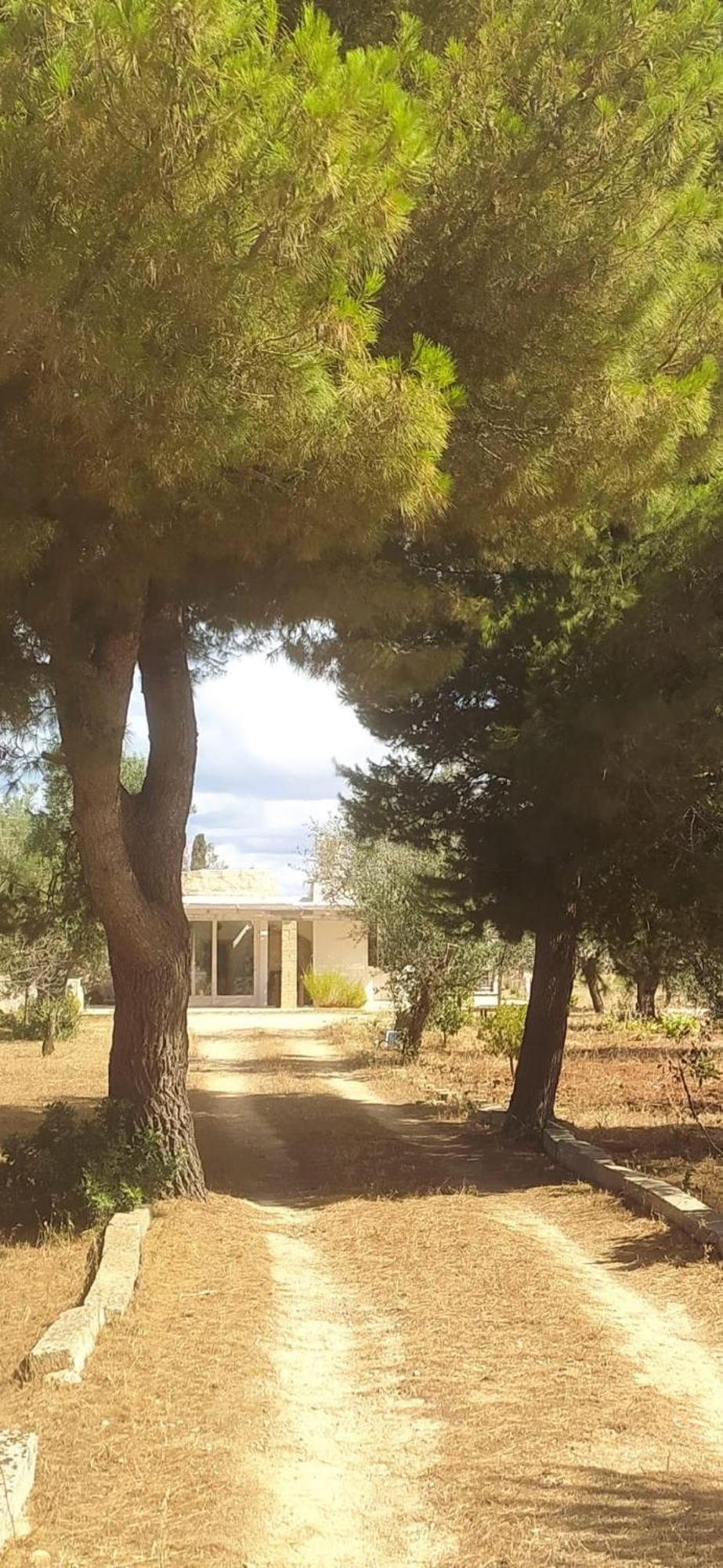 Trullo Contrada Specchi Appartement Racale